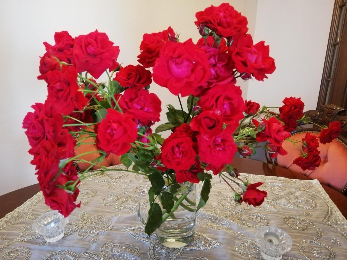 Apartamento Rosen Und Rosse Zweibrücken Exterior foto